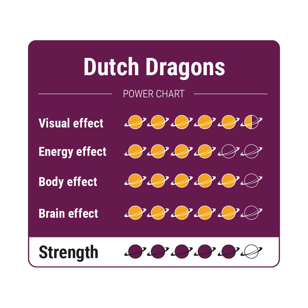 McSmart Dutch Dragons - Strength Chart